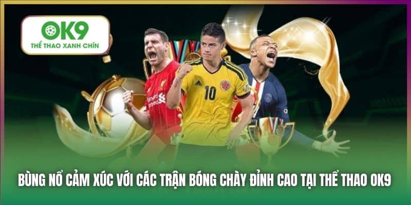 Bùng nổ cảm xúc với các trận bóng chày đỉnh cao tại thể thao OK9
