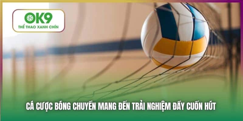 Cá cược bóng chuyền mang đến trải nghiệm đầy cuốn hút