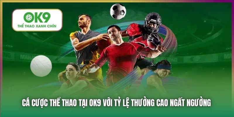 Cá cược thể thao tại OK9 với tỷ lệ thưởng cao ngất ngưởng