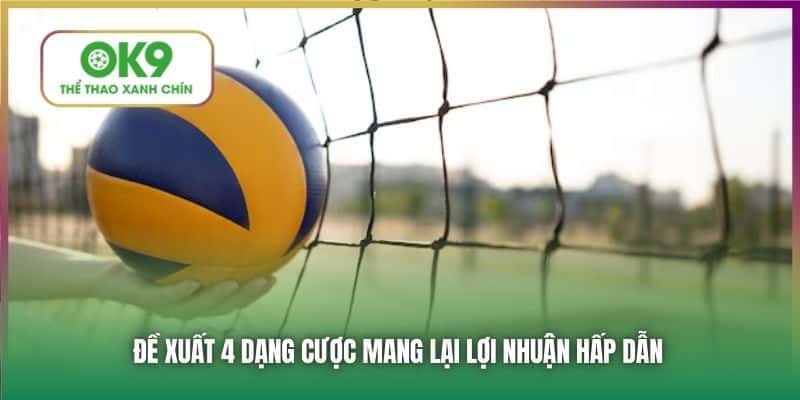 Đề xuất 4 dạng cược mang lại lợi nhuận hấp dẫn