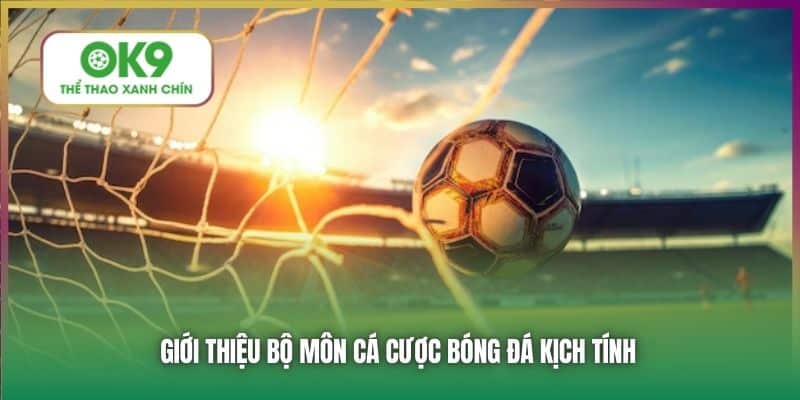 Giới thiệu bộ môn cá cược bóng đá kịch tính