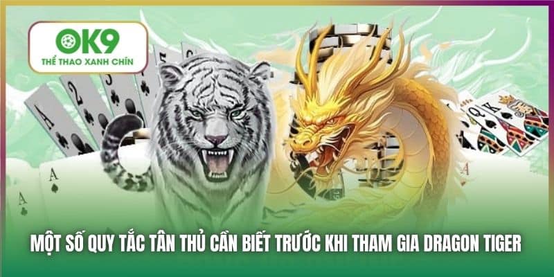 Một số quy tắc tân thủ cần biết trước khi tham gia Dragon Tiger