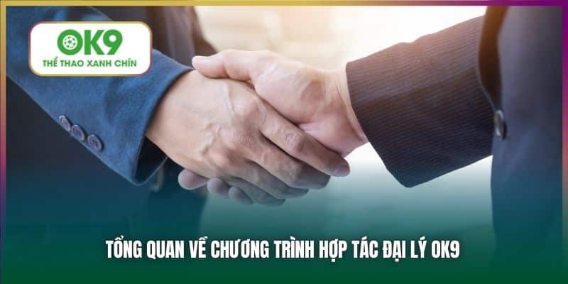 Tổng quan về chương trình hợp tác đại lý OK9
