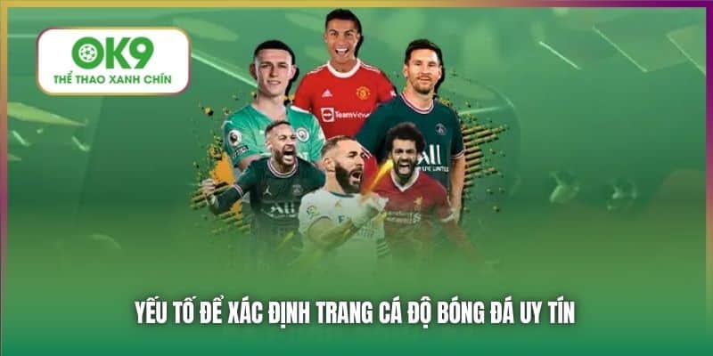 Yếu tố để xác định trang cá độ bóng đá uy tín